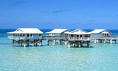 Bermuda Holidays